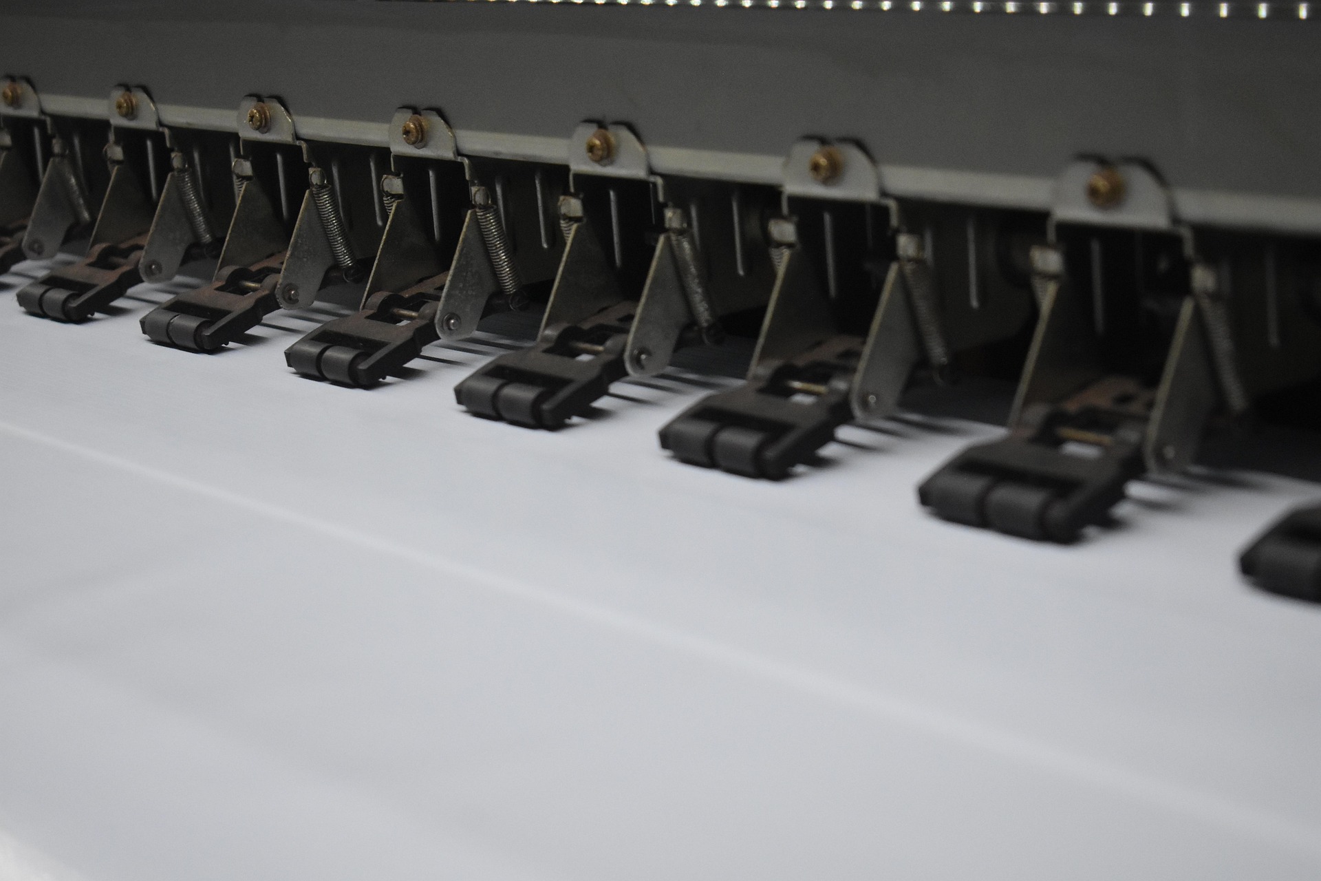 Bunting & Roll-Up Display image 1